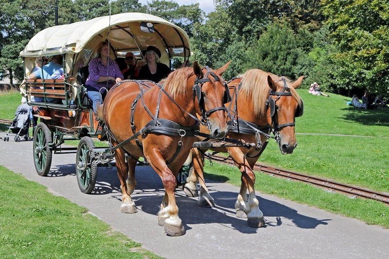 Horse-Drawn Carriage